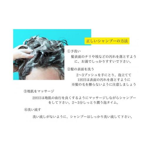 ふるさと納税 美容 福岡県 福岡市  福岡市内製造 NOZOMIボタニカルシャンプー 400ml（3本セット）の画像