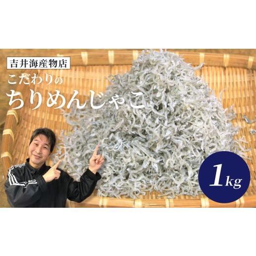 ふるさと納税 魚貝類 ちりめん 高知県 四万十市 こだわり の ちりめんじゃこ 1kg 冷凍 小分け 便利 惣菜 海の幸 じゃこ 無添加 無着色 国産 小魚 魚介 海産物 …