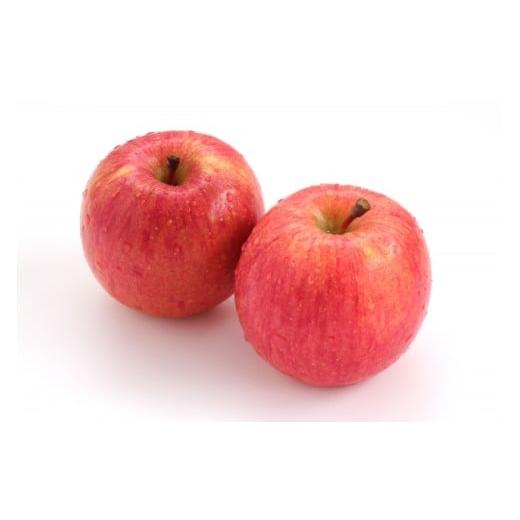 ふるさと納税 りんご 長野県 塩尻市 先行予約 信州産りんご 品種おまかせ 約5kg (14〜20玉) 秋映・シナノスイート・シナノゴールド・名月・サンふじ [2026年…