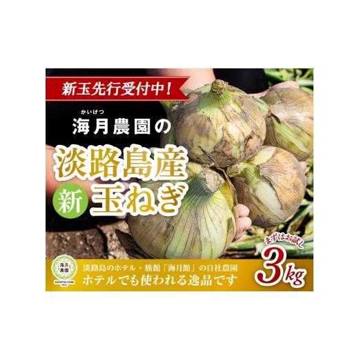 ふるさと納税 野菜類 玉ねぎ 兵庫県 南あわじ市  新玉予約 海月館 自社農場栽培 淡路島産 新玉ねぎ 3kg 新玉ねぎ 3kgの画像