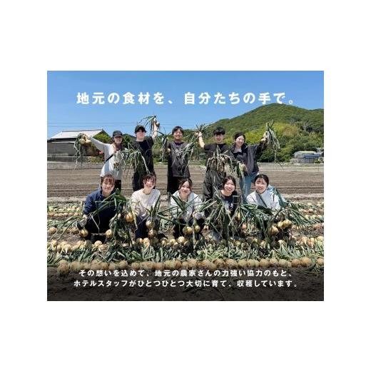 ふるさと納税 野菜類 玉ねぎ 兵庫県 南あわじ市  新玉予約 海月館 自社農場栽培 淡路島産 新玉ねぎ 3kg 新玉ねぎ 3kgの画像