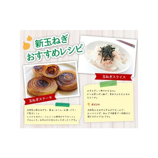 ふるさと納税 野菜類 玉ねぎ 兵庫県 南あわじ市  新玉予約 海月館 自社農場栽培 淡路島産 新玉ねぎ 3kg 新玉ねぎ 3kgの画像