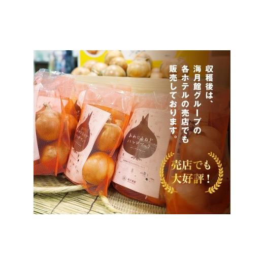 ふるさと納税 野菜類 玉ねぎ 兵庫県 南あわじ市  新玉予約 海月館 自社農場栽培 淡路島産 新玉ねぎ 3kg 新玉ねぎ 3kgの画像