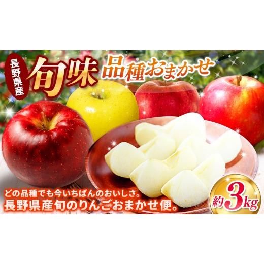 ふるさと納税 りんご 長野県 塩尻市 先行予約 信州産りんご 品種おまかせ 約3kg (8〜12玉) 秋映・シナノスイート・シナノゴールド・名月・サンふじ・あいかの…