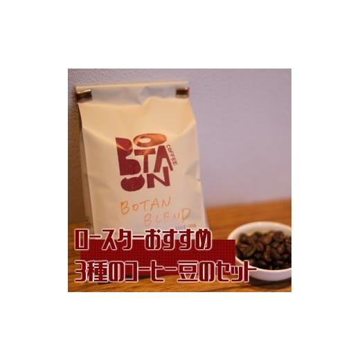 ふるさと納税 コーヒー コーヒー豆 愛知県 犬山市 12-53_ロースターおすすめ3種のコーヒー豆のセット| コーヒー 珈琲 おすすめ 焙煎 コーヒー豆 珈琲豆 3種 …