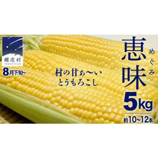 ふるさと納税 とうもろこし 群馬県 嬬恋村 8月下旬発送開始 甘〜いトウモロコシ 恵味 5kg 約10〜12本 とうもろこし 産地直送 羽生田売店 期間限定 先行予約 …