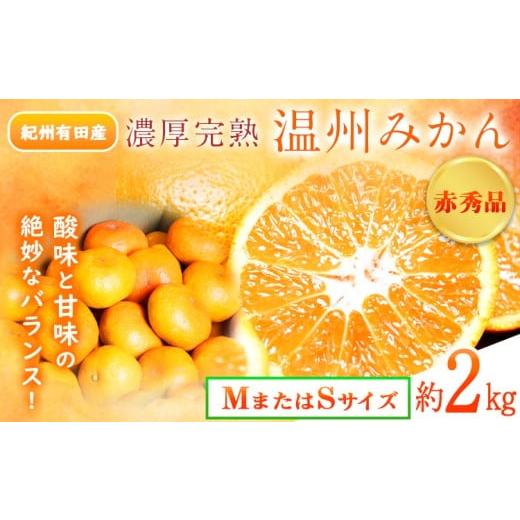 ふるさと納税 果物類 みかん 和歌山県 日高川町 先行予約 赤秀品 紀州有田産 濃厚完熟温州みかん 2kg (MサイズまたはSサイズ) 魚鶴商店[2026年11月下旬-2027…
