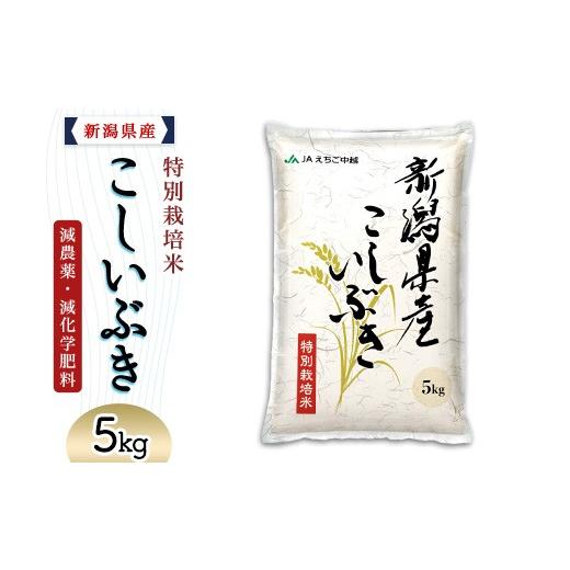 ふるさと納税 米 新潟県 長岡市 75-7K051新潟県長岡産特別栽培米こしいぶき5kg 2026年5月発送 発送時期:2026年5月 寄附額:13000円