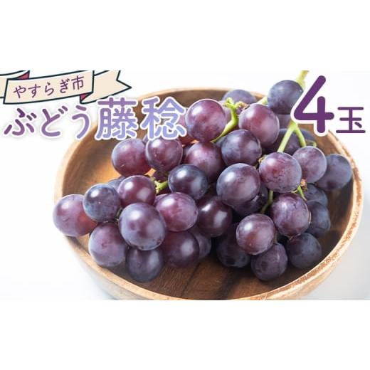 ふるさと納税 果物類 ぶどう 高知県 香南市 ぶどう 藤稔 4P 国産 果物 くだもの 青果 フルーツ 葡萄 ブドウ グレープ ジューシー デザート やすらぎ市 ぶどう…