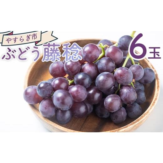 ふるさと納税 果物類 ぶどう 高知県 香南市 ぶどう 藤稔 6P 国産 果物 くだもの 青果 フルーツ 葡萄 ブドウ グレープ ジューシー デザート やすらぎ市 高知県 …