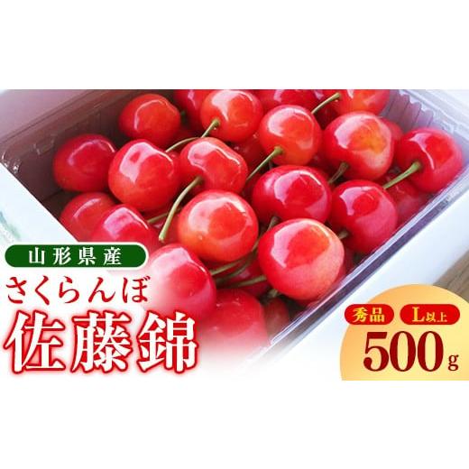 ふるさと納税 果物類 さくらんぼ 山形県 寒河江市 先行予約 令和8年産 さくらんぼ 「 佐藤錦 」500g 秀品 Lサイズ以上 2026年産 山形県産 2026年6月上旬頃〜…