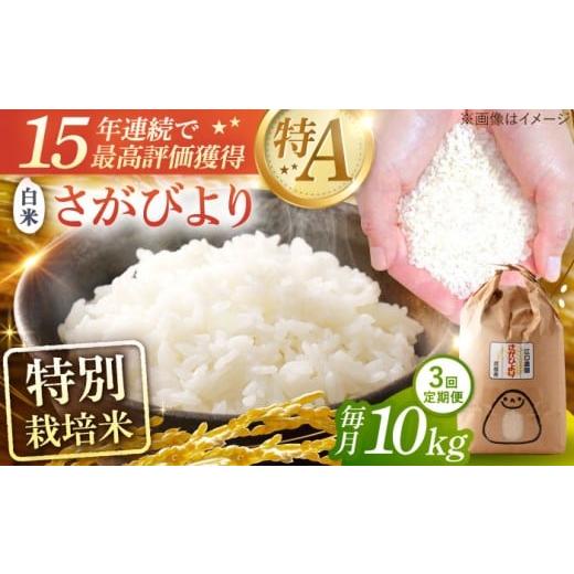 ふるさと納税 米 さがびより 佐賀県 武雄市 2026年4〜6月発送 3回定期便 令和7年産米 特別栽培米 さがびより 白米 10kg 15年連続特A評価 配送前精米/江口農…