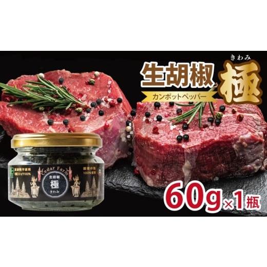 ふるさと納税 加工品等 大阪府 泉佐野市 生胡椒 極(きわみ) 60g×1本 能登の塩 コショウ こしょう カンポットペッパー スパイス カンボジア