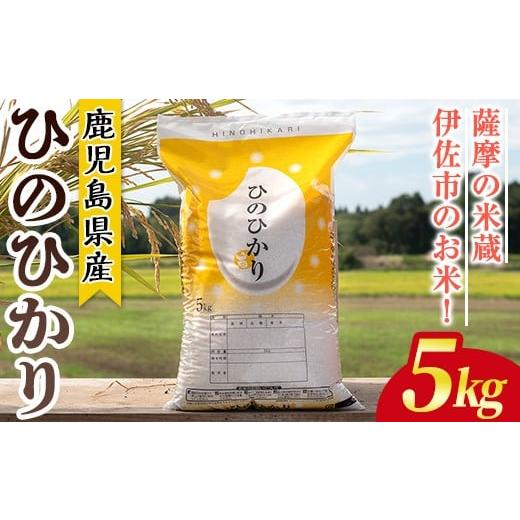 ふるさと納税 米 鹿児島県 伊佐市 isa807 鹿児島県産ひのひかり(5kg) 国産 鹿児島県 米 お米 白米 伊佐米 赤崎農園