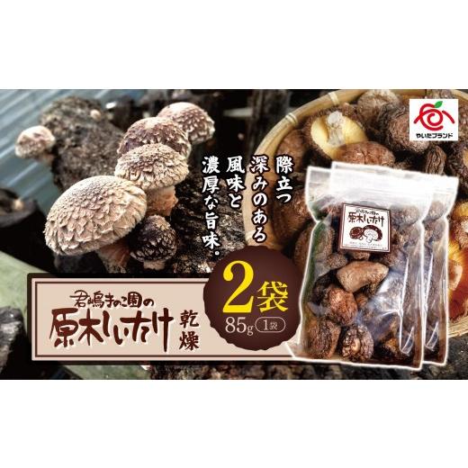 ふるさと納税 野菜類 きのこ 栃木県 矢板市 乾燥しいたけ 2袋｜徳用 家庭用 栃木県 矢板市 しいたけ 椎茸 産地直送 乾燥 2袋 | 9，500円_1