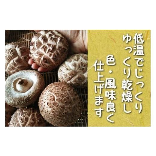 ふるさと納税 野菜類 きのこ 栃木県 矢板市 乾燥しいたけ 2袋｜徳用 家庭用 栃木県 矢板市 しいたけ 椎茸 産地直送 乾燥 2袋 | 9，500円_2