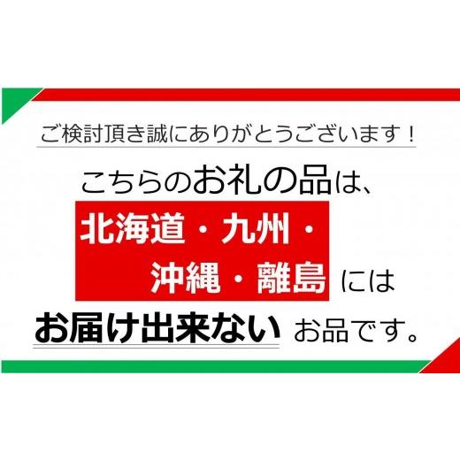 ふるさと納税 野菜類 きのこ 栃木県 矢板市 乾燥しいたけ 2袋｜徳用 家庭用 栃木県 矢板市 しいたけ 椎茸 産地直送 乾燥 2袋 | 9，500円_5