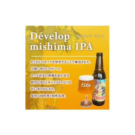 ふるさと納税 ビール 地ビール 静岡県 三島市  定期便 3回 クラフトビール fete三島醸造所おまかせ 6本 クラフトビール フルーツ 酒 麦酒 ホップ 贈答 おすす…の画像