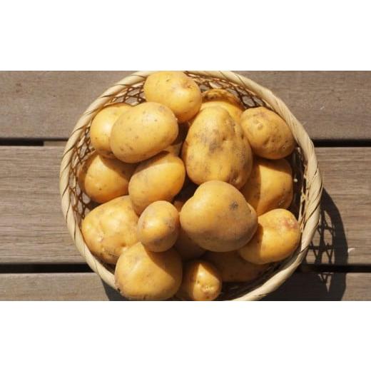 ふるさと納税 野菜類 じゃがいも 北海道 足寄町 北海道産 じゃがいも ゆめいころ 10kg [足寄町] 北海道エア・ウォーター・アグリ株式会社 BEBO001 9000 9000…