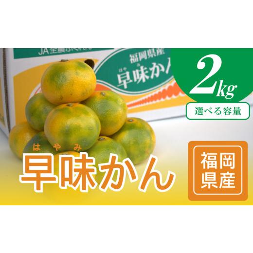 ふるさと納税 果物類 みかん 福岡県 川崎町 2026年9月中旬から下旬