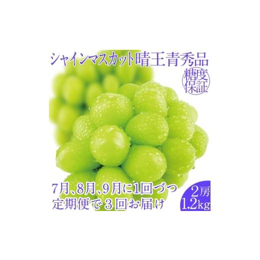 ふるさと納税 ぶどう マスカット 岡山県 瀬戸内市 2026年先行予約 3回定期便 シャインマスカット晴王2房 約1.2kg 7月8月9月に出荷 人気 岡山県産 種無し 皮ご…