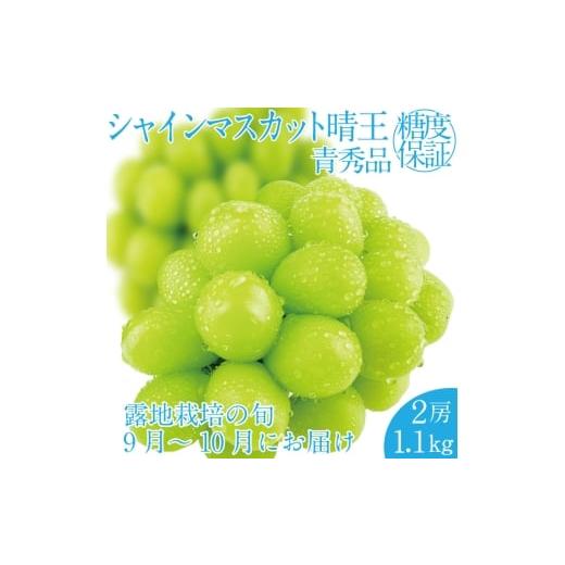 ふるさと納税 ぶどう マスカット 岡山県 瀬戸内市 2026年 先行予約受付中 シャインマスカット晴王 2房 約1.1kg 岡山県産 種無し 皮ごと食べる みずみずしい 甘…