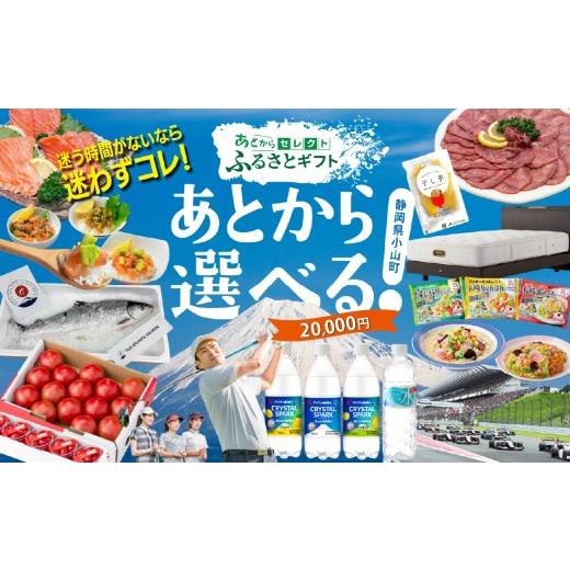 ふるさと納税 地元のお買物券 静岡県 小山町 あとからセレクト ふるさとギフト 20,000円分｜ あとから選べる ギフト ポイント 専用サイト 交換 駆け込み ｜ 特…_1