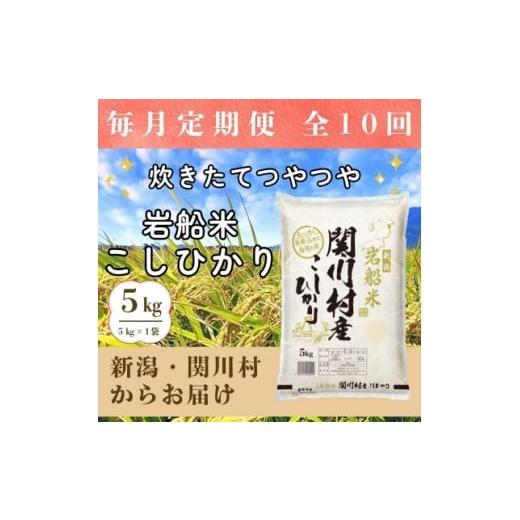 ふるさと納税 米 コシヒカリ 新潟県 関川村 毎月定期便 炊きたてつやつや 新潟関川村産 岩船米こしひかり精米 5kg全10回 4079665