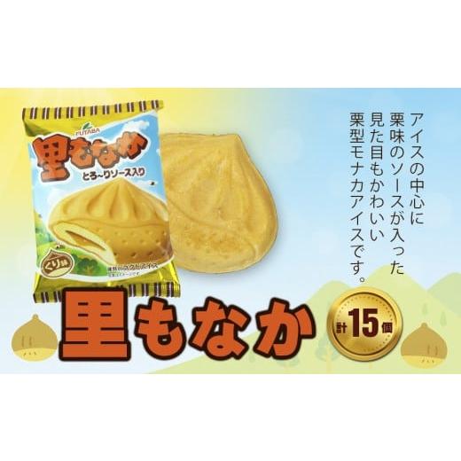ふるさと納税 菓子 アイス 岩手県 矢巾町 フタバ食品 里もなか 15個