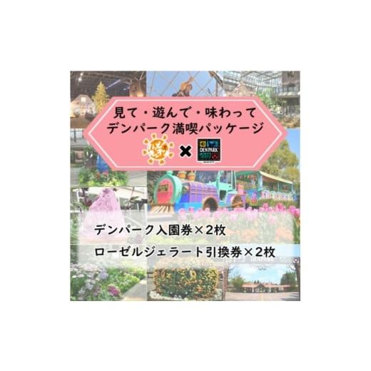 ふるさと納税 菓子 アイス 愛知県 安城市 デンパーク入園券2枚+ローゼルジェラート引換券2枚/愛知県安城市 1686737