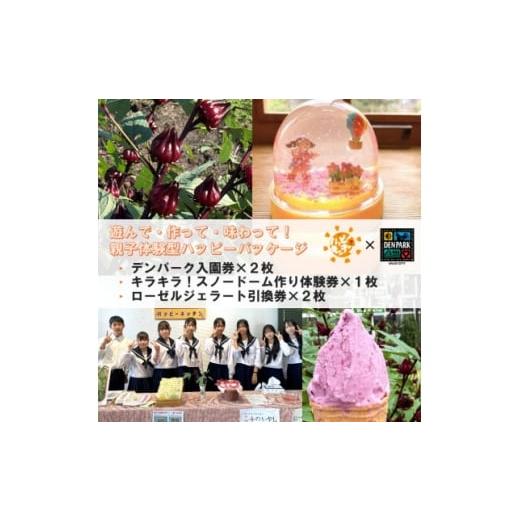 ふるさと納税 菓子 アイス 愛知県 安城市 デンパーク入園券2枚+ローゼルジェラート引換券2枚+スノードーム作り体験券1枚/愛知県安城市 1686741