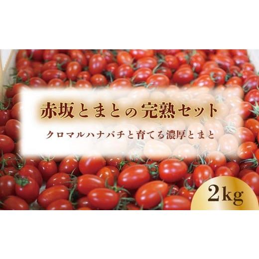 ふるさと納税 トマト ミニトマト 山梨県 甲斐市 期間限定(3〜7月) 赤坂とまとの完熟セット DE-1