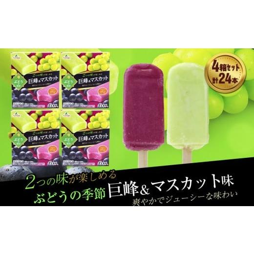 ふるさと納税 菓子 アイス 岩手県 矢巾町 フタバ食品 ぶどうの季節 4箱セット 4箱セット 計24本