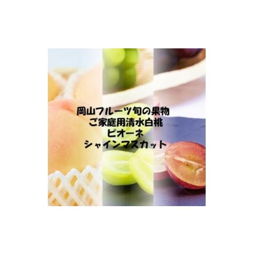 ふるさと納税 もも 岡山県 美作市 発送月固定定期便 2026年先行予約 岡山の美味しい果物 桃・ピオーネ・シャインマスカット全3回 4069070