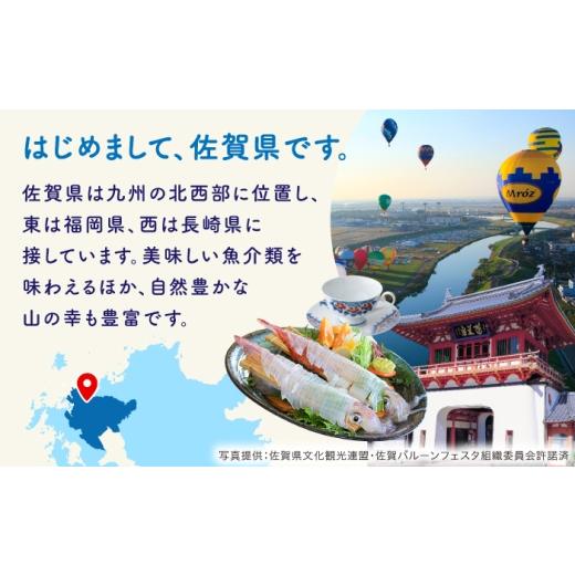 ふるさと納税 陶磁器・漆器・ガラス 佐賀県 -  有田焼 究極のラーメン鉢レンゲセット ピンク グリーン ペア ／ 食器 ／ 佐賀県 ／ 株式会社まるぶん 41APCD051…の画像