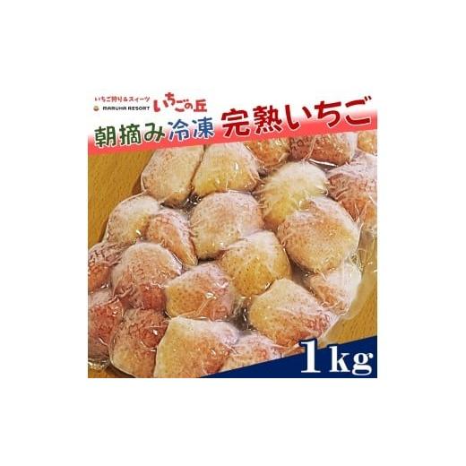 ふるさと納税 いちご 愛知県 美浜町 まるは食堂 マルハリゾート いちごの丘 『訳あり』完熟 冷凍いちご 1kg | 訳あり いちご イチゴ 冷凍 1kg 国産 完熟 ス…
