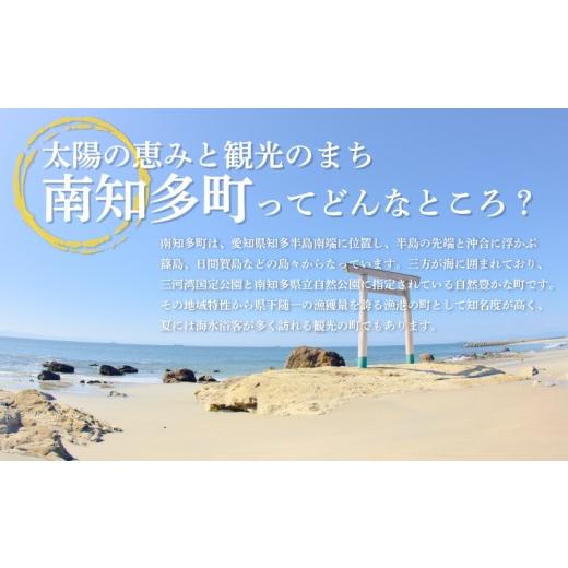 ふるさと納税 ビール 地ビール 愛知県 南知多町  定期便 3回 南知多のうまいもの定期便 Dセット 毎月 3回 生牡蠣 1ダース 牛肉 800g クラフトビール 6本 グル…の画像