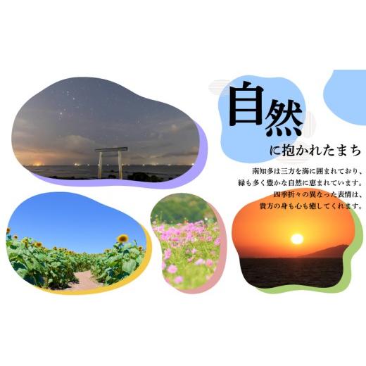 ふるさと納税 ビール 地ビール 愛知県 南知多町  定期便 3回 南知多のうまいもの定期便 Dセット 毎月 3回 生牡蠣 1ダース 牛肉 800g クラフトビール 6本 グル…の画像