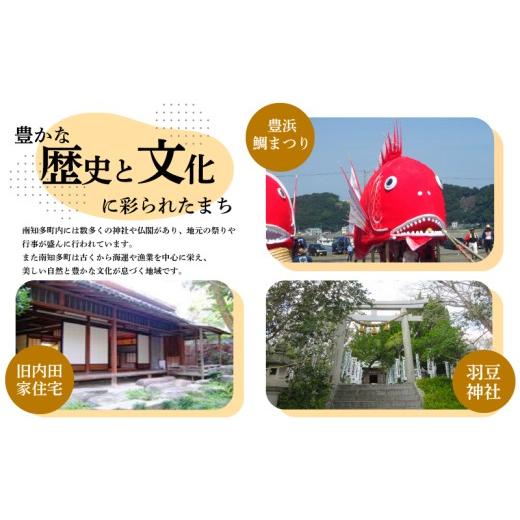 ふるさと納税 ビール 地ビール 愛知県 南知多町  定期便 3回 南知多のうまいもの定期便 Dセット 毎月 3回 生牡蠣 1ダース 牛肉 800g クラフトビール 6本 グル…の画像