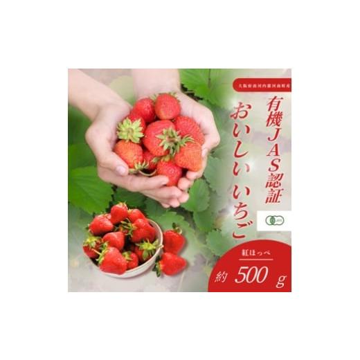 ふるさと納税 いちご 大阪府 河南町 おいしいいちご 有機JAS認証いちご 500g 24粒 / 苺 果物 フルーツ 完熟いちご 有機いちご 自然栽培 オーガニック 香り…
