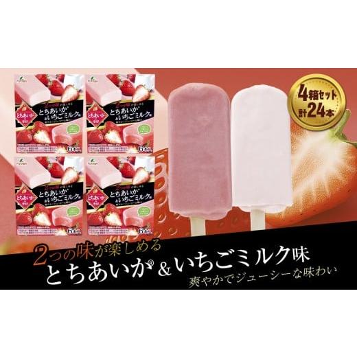 ふるさと納税 菓子 アイス 岩手県 矢巾町 フタバ食品 とちあいか?の季節 4箱セット 計24本