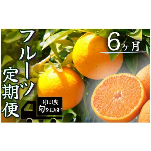 ふるさと納税 静岡県 南伊豆町 湯の花 みかんメインで贈るフルーツ6回の定期便 [みかん 果物 フルーツ 旬 柑橘 甘い 新鮮 定期便]