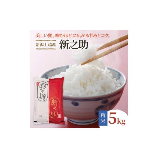 ふるさと納税 米 新潟県 上越市 令和8年産 先行予約 新潟上越産 新之助 5kg 5キロ しんのすけ シンノスケ 米 お米 こめ おすすめ 人気 ふるさと納税 新潟 新潟…