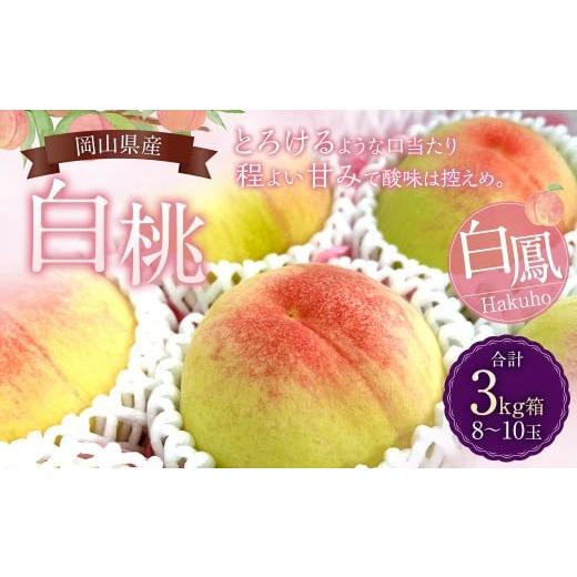ふるさと納税 もも 岡山県 美咲町 岡山県産 白桃(白鳳)約3kg 箱(8〜10玉) 2026年7月上旬〜7月下旬発送予定 白桃 白鳳 桃 果物 フルーツ 贈り物 プレゼント…