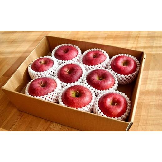 ふるさと納税 りんご 岩手県 一関市 樹上完熟 ふじ 約3kg リンゴ ギフト品質 林檎 果物 フルーツ 産地直送 常温便 送料無料 岩手県 一関市