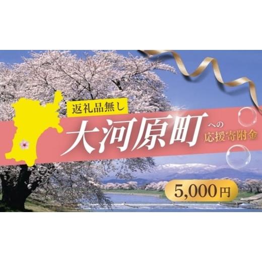 ふるさと納税 イベントやチケット等 宮城県 大河原町 返礼品なし応援寄附 宮城県大河原町(5,000円)