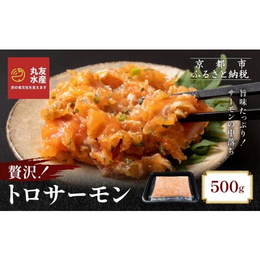 ふるさと納税 魚貝類 サーモン 京都府 京都市 丸友水産 トロサーモン 500g|京都 トロサーモン ノルウェー産[ 京都 ノルウェーサーモンの中落ち 京都中央卸…