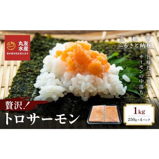 ふるさと納税 魚貝類 サーモン 京都府 京都市 丸友水産 トロサーモン 250g×4パック 計1kg|京都 トロサーモン ノルウェー産[ 京都 ノルウェーサーモンの中…