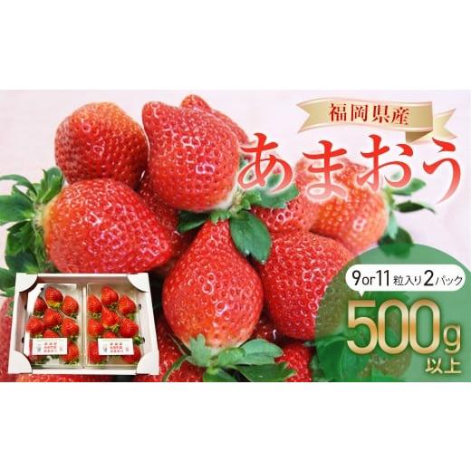 ふるさと納税 いちご 福岡県 糸田町 福岡県産 あまおう 2パック(合計500g以上) 2026年1月上旬〜3月下旬発送 苺 あまおう フルーツ 果実 国産 贈り物 福岡産 …