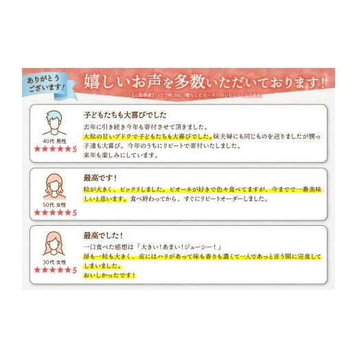 ふるさと納税 果物類 ぶどう 山梨県 上野原市  2026年先行予約 山梨県山梨市産 ぶどう約1kg（種なしピオーネ） ピオーネ 種なし 約1kg 1〜3房 ぶどう 葡萄 ブ…_2